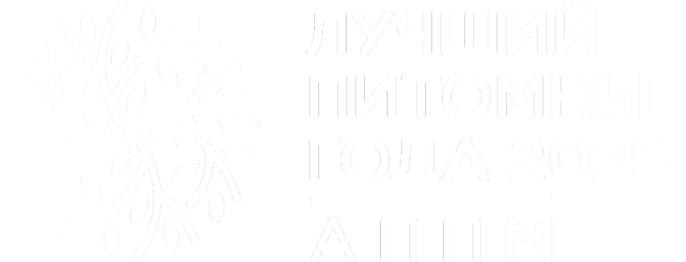 Питомник растений Ёлы-палы