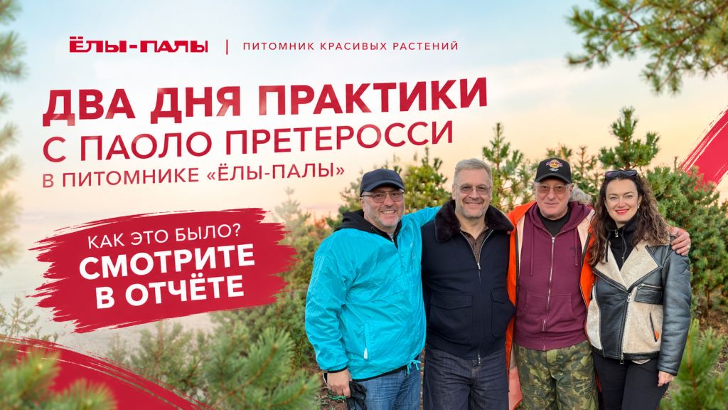 Искусство Ниваки в "ЁЛЫ-ПАЛЫ" Искусство Ниваки в "ЁЛЫ-ПАЛЫ"