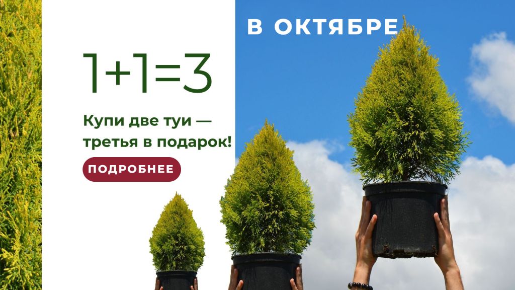 Баннер-1+1-ТУИ-ОКТЯБРЬ