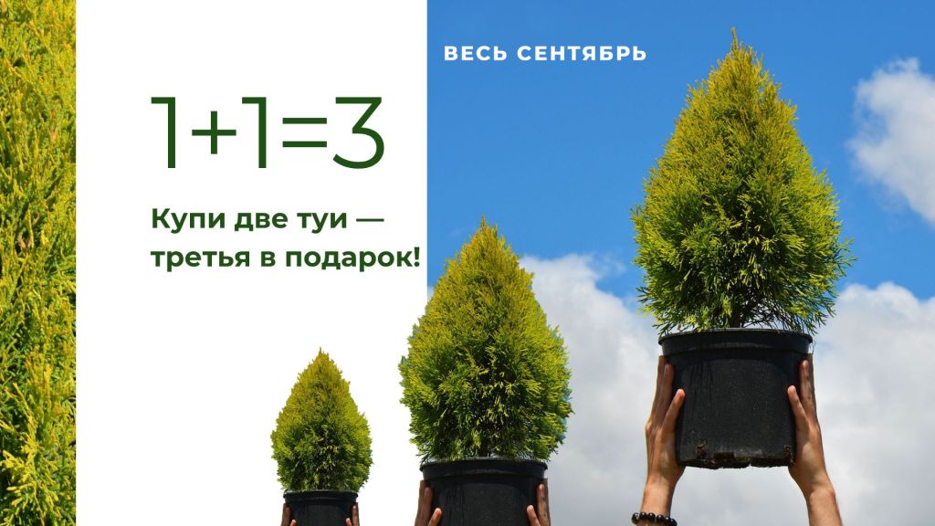 tri tui po tsene dvukh tri tui po tsene dvukh